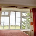 Brambling Fields And